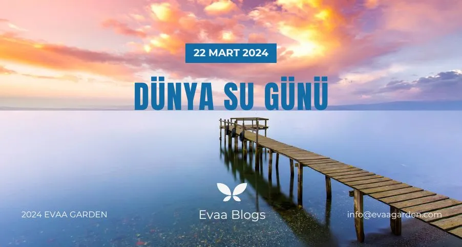Dünya Su Günü’nde Su Tasarrufunun Önemi